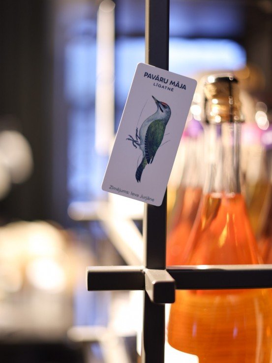 Pavāru mājas magnēts- Pelēkā dzilna