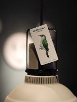 Pavāru mājas magnēts- Pelēkā dzilna