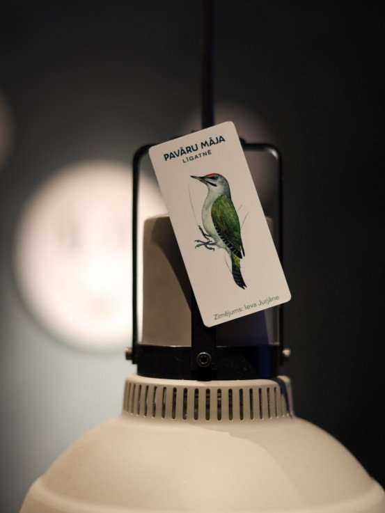 Pavāru mājas magnēts- Pelēkā dzilna