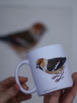 Pavāru mājas matēta keramikas krūze - Dižknābis