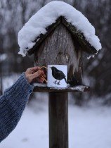 Pavāru mājas porcelāna krūze ar apzeltijumu- Melnais meža strazds