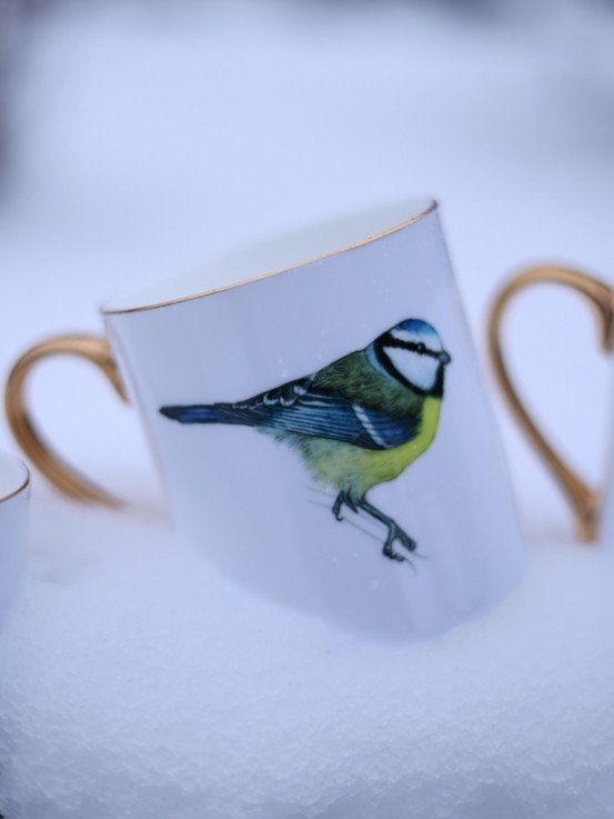 Pavāru mājas porcelāna krūze ar apzeltijumu - Zilzīlīte