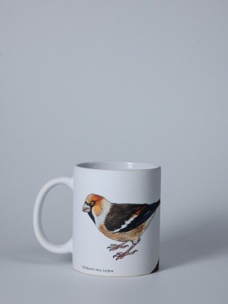 Pavāru mājas matēta keramikas krūze - Dižknābis