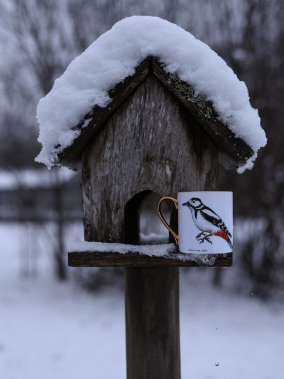 Pavāru mājas porcelāna krūze ar apzeltijumu - Dižraibais dzenis