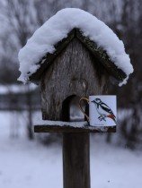 Pavāru mājas porcelāna krūze ar apzeltijumu - Dižraibais dzenis