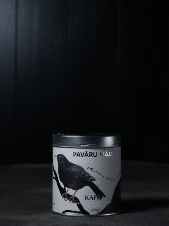 Coffe Marmalade / Eurasian Blackbird