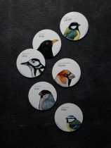 Coaster with Blue Tit Illustration