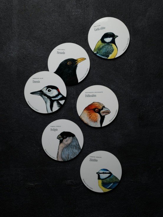 Coaster with Blue Tit Illustration
