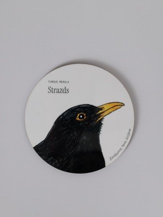 Coaster with Starling Illustration