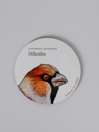 Krūzes paliknis - Dižknābis