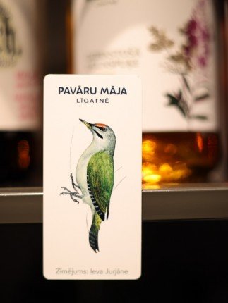 Magnet with Black Woodpecker Illustration